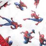 spiderman 1 muestra