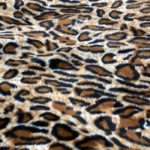 leopardo 2