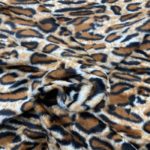 leopardo 2 muestra