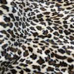 leopardo 1