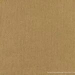 18 camel