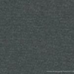 gris 95